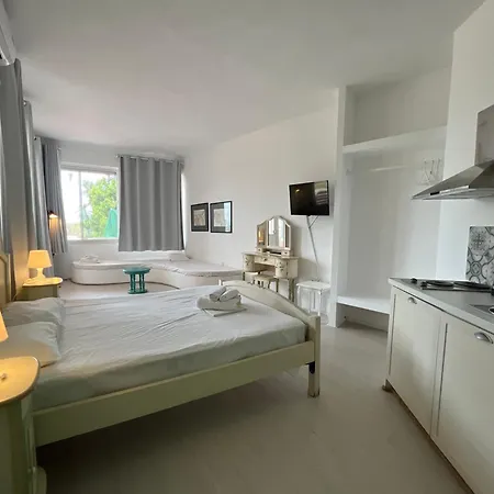 Amelia Apartment